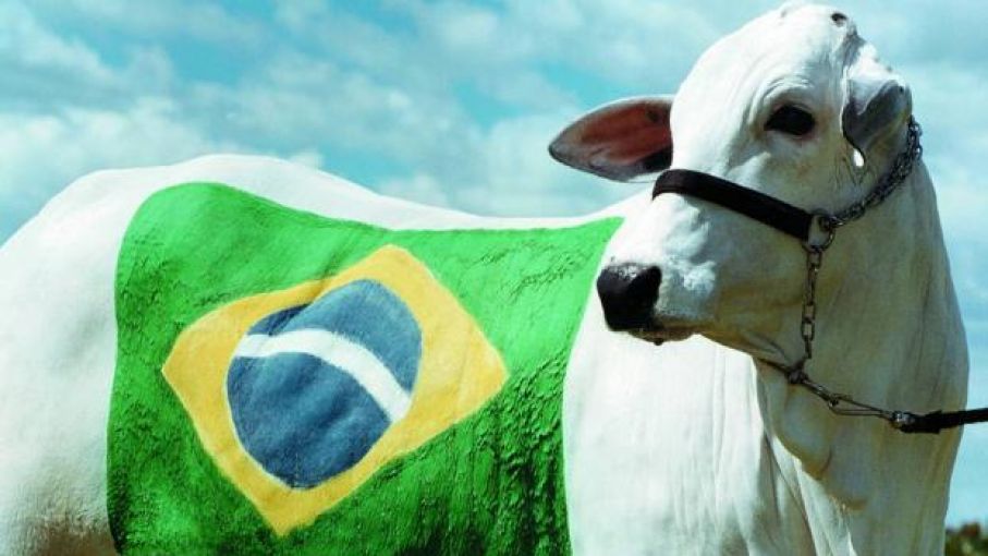 Brasil culmina un primer semestre con exportaciones récord en volumen y precio
