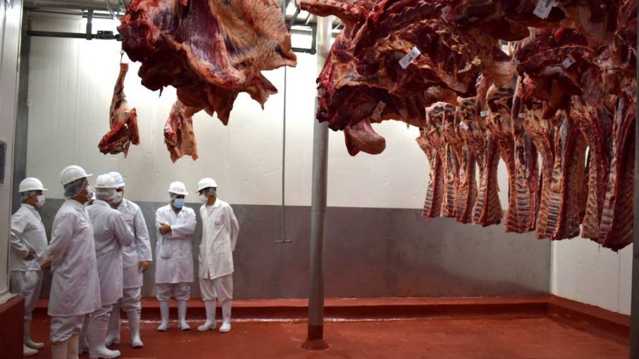 Paraguay avanza con la exportación de carne a Japón