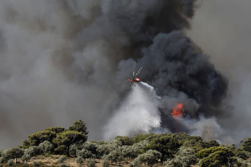 Disminuye amenaza de incendios forestales en Europa