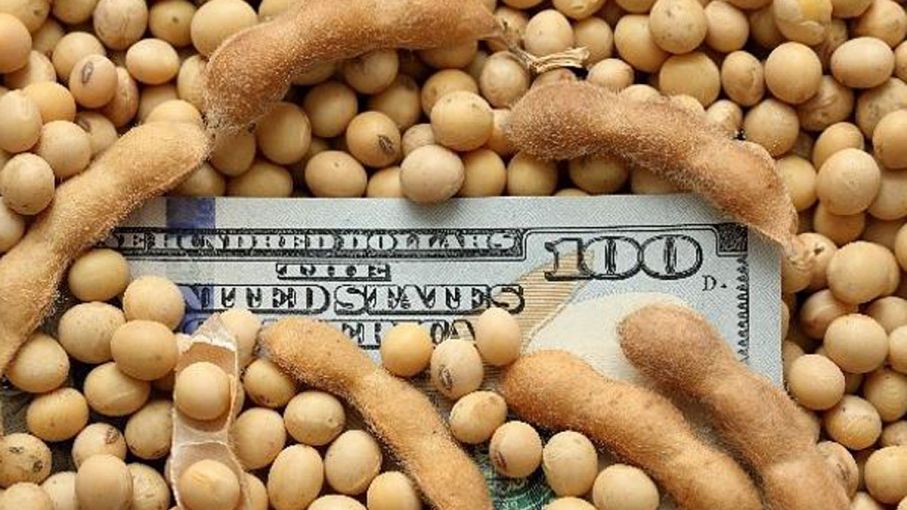 El Banco Central creó un nuevo tipo de cambio para que los productores de soja vendan la cosecha