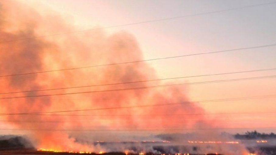 Productores fueron al Senado a explicar que no causan los incendios en el Delta del Paraná: qué dijeron