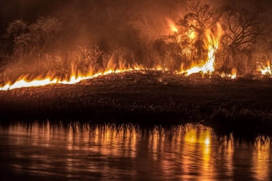 Califican de "desastre ecológico" a las quemas en el Delta
