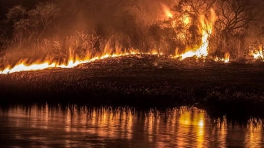 Califican de "desastre ecológico" a las quemas en el Delta