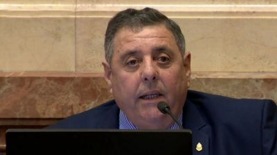 De Angeli fue elegido presidente de la Comisión de Agricultura del Senado