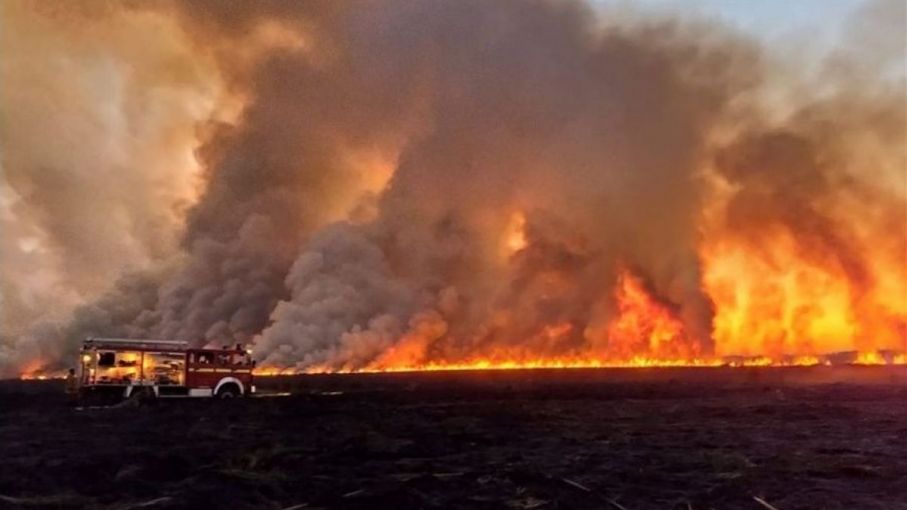 El viceministro de Ambiente califica de "acciones criminales" las quemas en el Delta del río Paraná