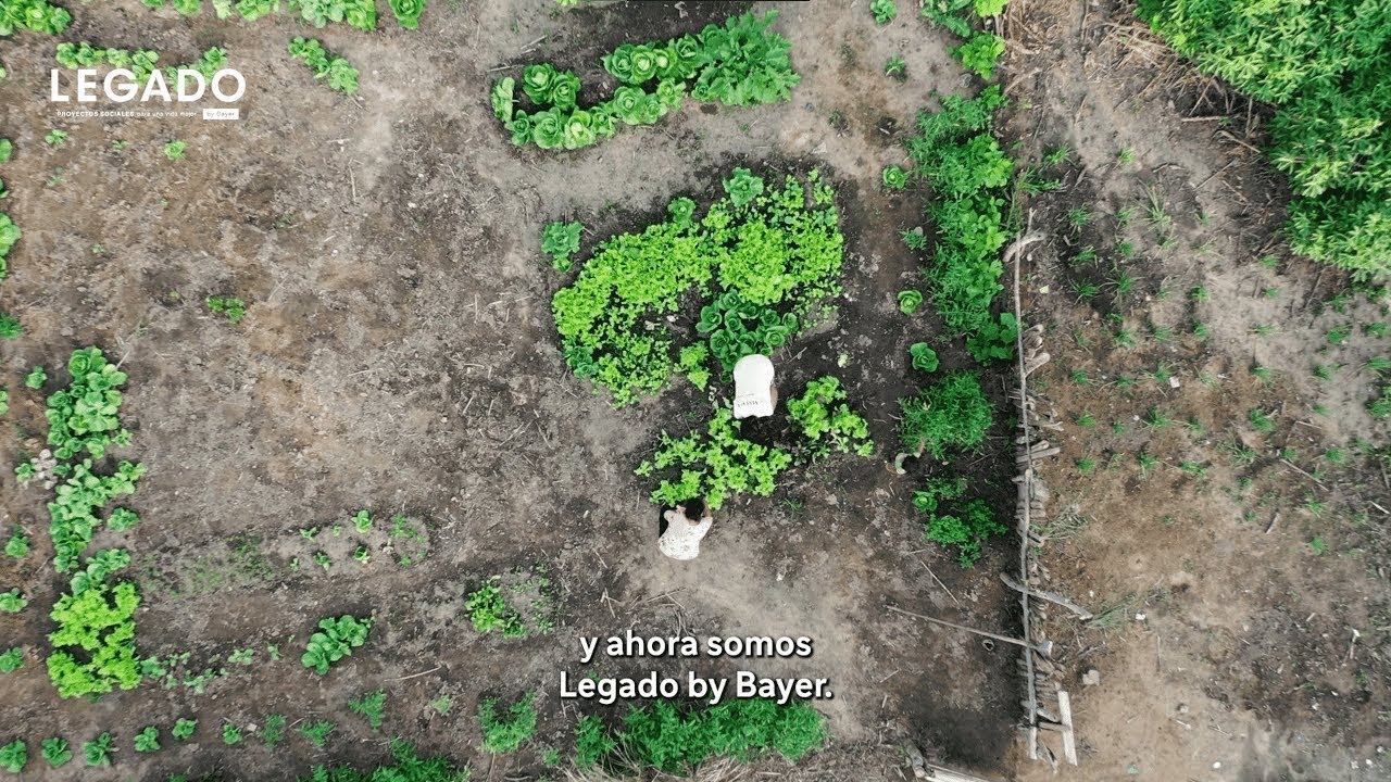 En 15 días cierra el plazo para presentar proyectos sustentables en salud y alimentación del programa "Legado by Bayer"