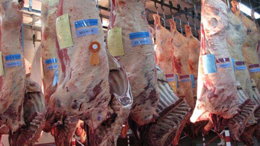 Aumentan las exportaciones de carne uruguaya