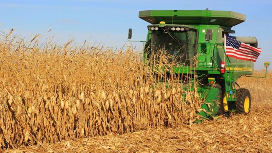 Último Informe del USDA: Producción de Maíz y Soja Supera las Expectativas, Perspectivas y Reacciones en el Agro Estadounidense