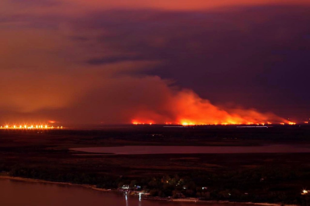Perotti pidió la intervención de las Fuerzas Armadas para combatir los incendios en las islas del Delta