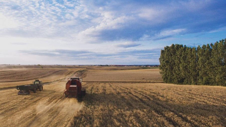 Qué pasará con las lluvias en primavera y en verano