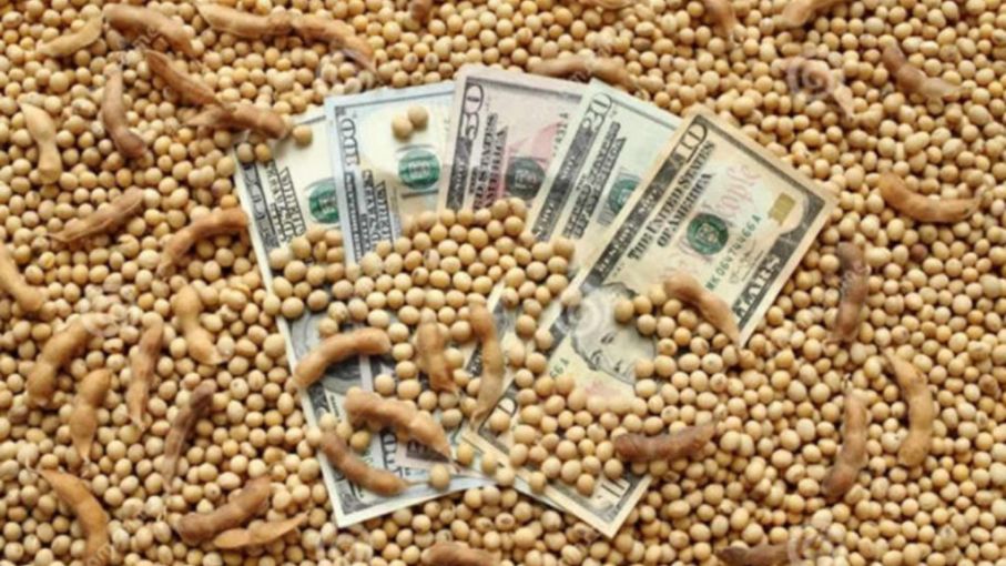 Inminente anuncio: Massa y Pesce se reúnen para definir el nuevo "dólar soja"