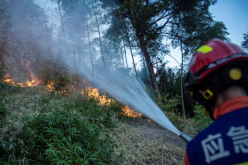 El suroeste de China lucha contra los incendios mientras se teme por la cosecha