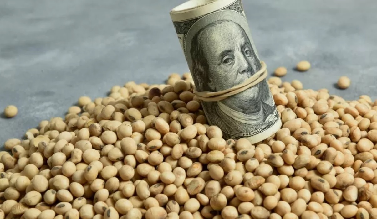 Dólar soja : termina hoy con 14 millones de toneladas vendidas