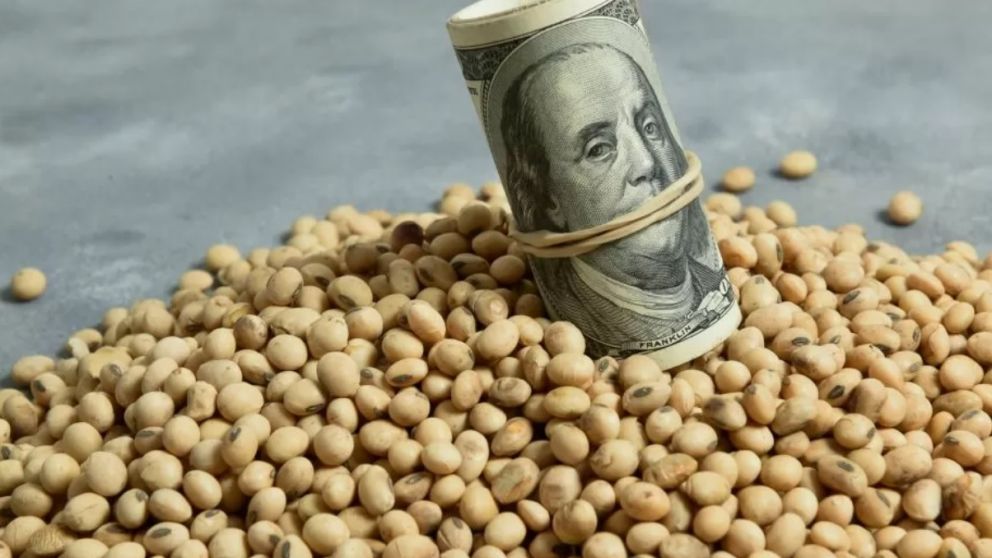 Dlar soja : termina hoy con 14 millones de toneladas vendidas