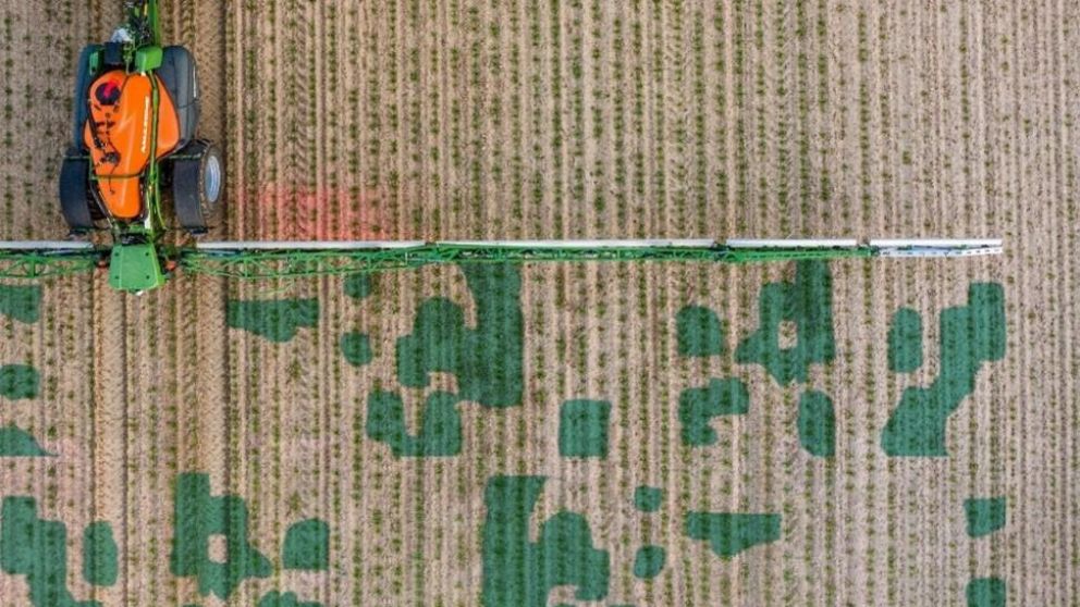 La digitalizacin: una aliada para el manejo en los barbechos