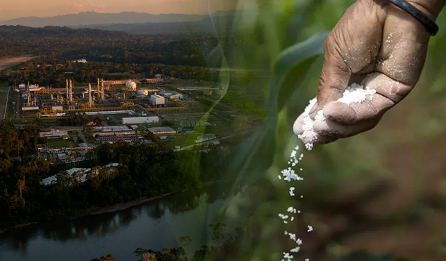 Ejecutivo instaló comisión para implementar planta de urea en el Perú