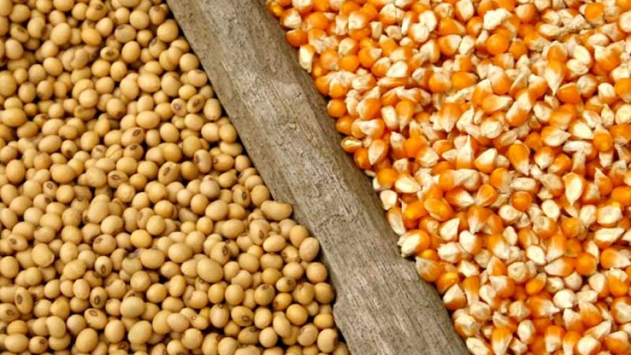 ¿Serán los informes del USDA un punto de inflexión para los mercados de granos?