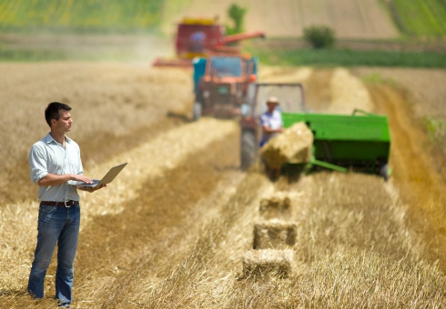 El IICA expresa su apoyo a Uruguay para una estrategia agropecuaria