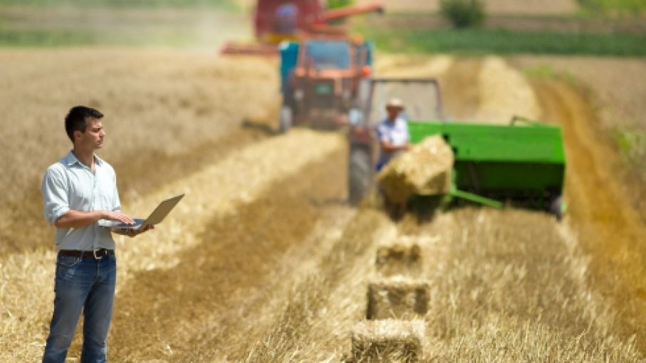 El IICA expresa su apoyo a Uruguay para una estrategia agropecuaria