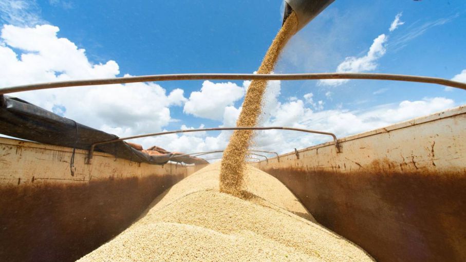 Brasil aumenta capacidad de procesamiento de soja y beneficios crecen