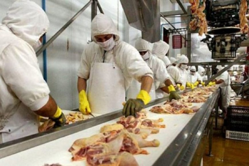 Abren mercado de Filipinas para exportar carne aviar, porcina y nuevos productos de carne bovina