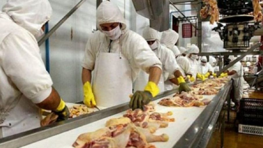 La producción aviar argentina superó el millón de toneladas en el primer semestre del año