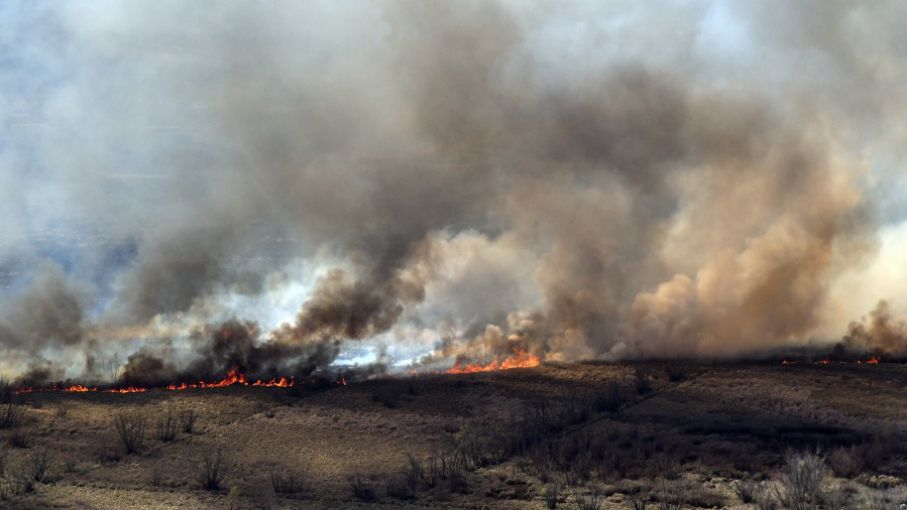 "Los incendios son intencionales y para desarrollos inmobiliarios, no son los productores agropecuarios"
