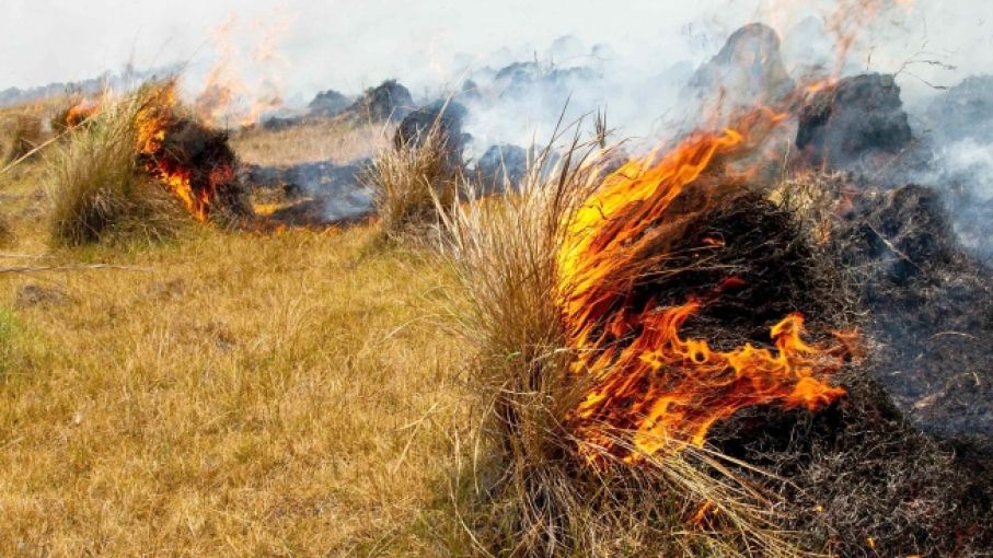 Alertan sobre cantidad de incendios y reestablecen sistema de bombeo en el norte provincial