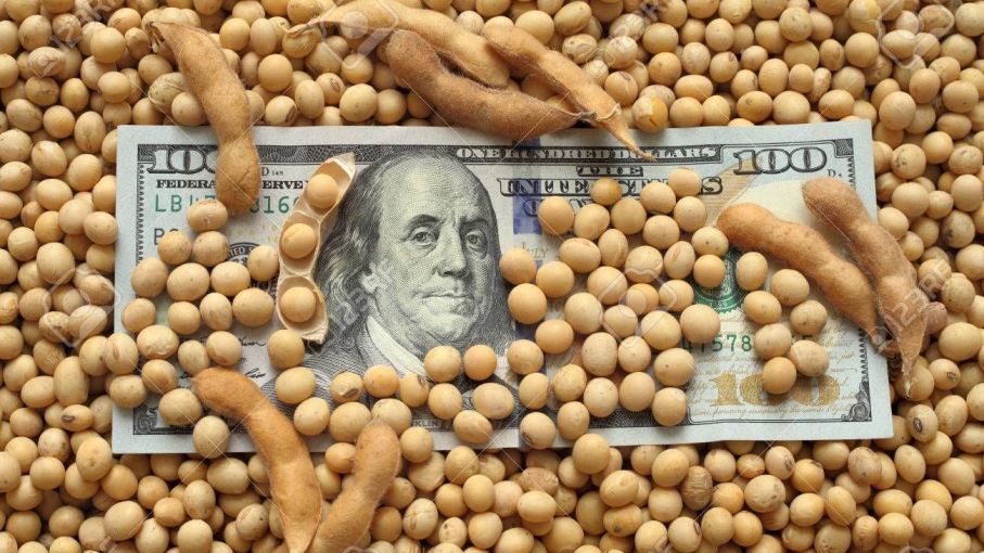 La agroexportación generó liquidaciones por US$2.400 millones