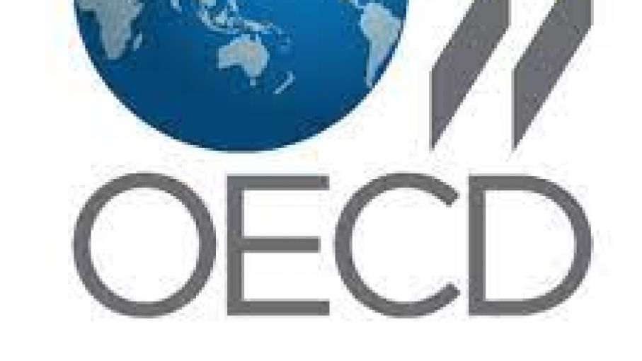 La OCDE empeoró la previsión de crecimiento para la Argentina en 2023