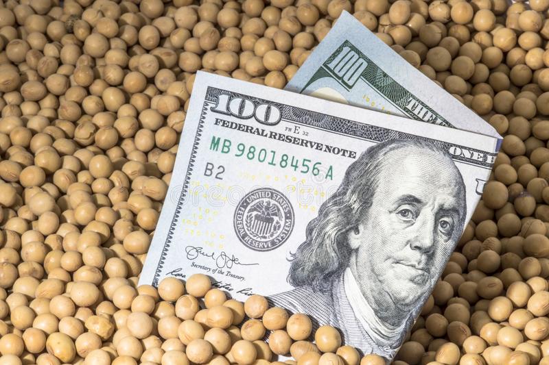 Casi la totalidad de las DJVE del complejo soja anotadas desde la instauración del PIE V son de grano sin procesar