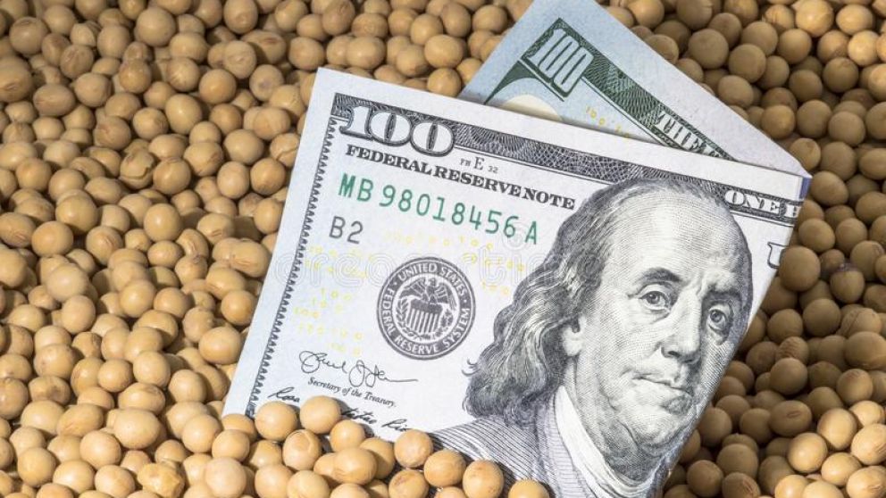 Casi la totalidad de las DJVE del complejo soja anotadas desde la instauracin del PIE V son de grano sin procesar
