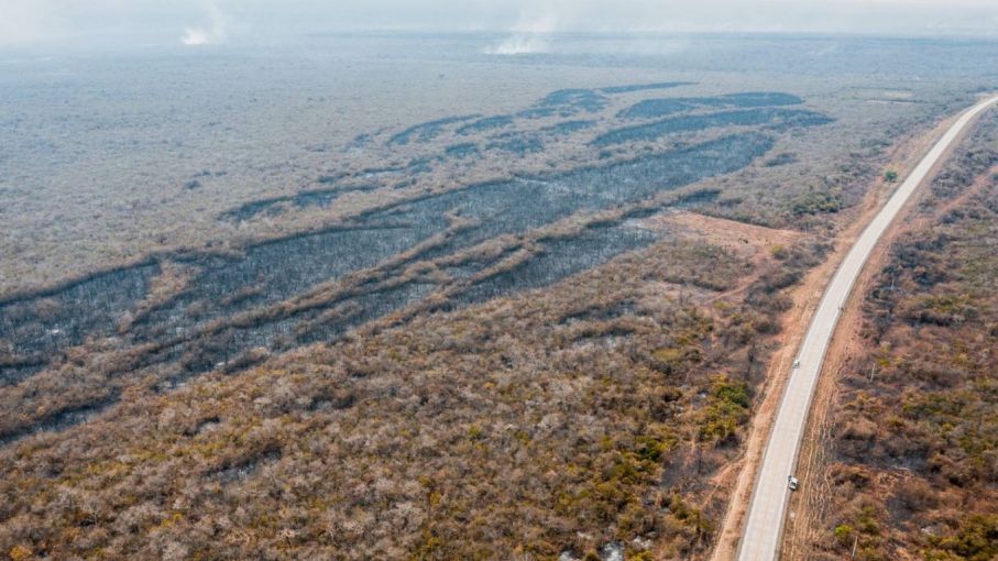 ¿Qué interés político y económico va detrás de los incendios forestales?