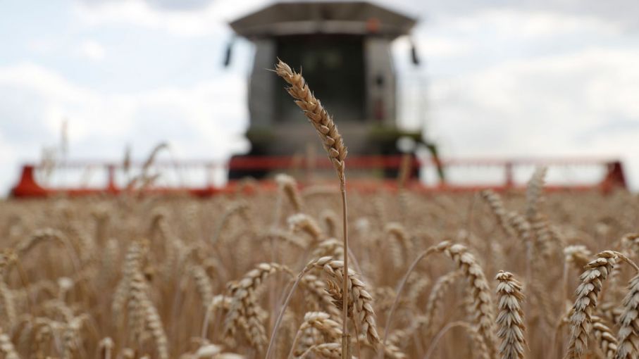 Los agricultores de trigo de invierno en EEUU siembran en el polvo por la sequía