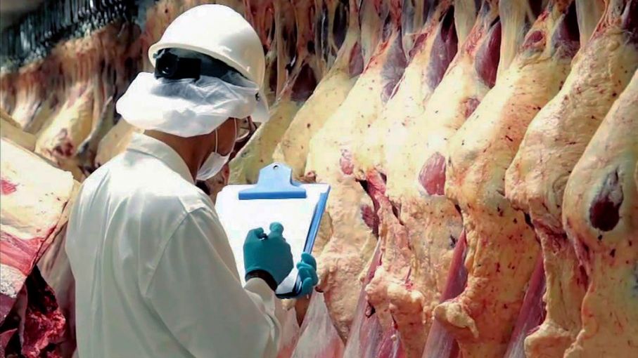 Revelaciones en las exportaciones de carne de Argentina