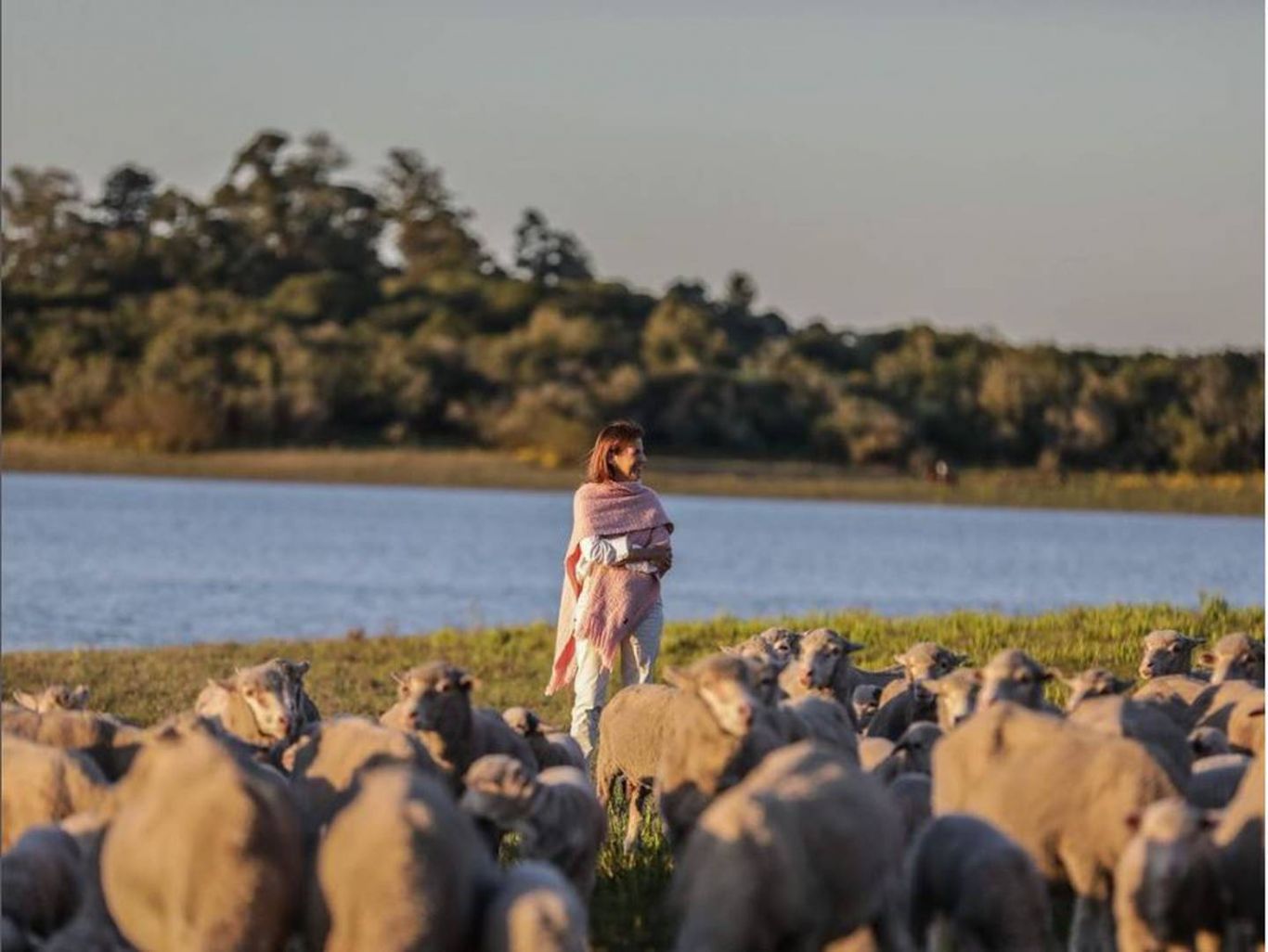 Con producción sustentable, una uruguaya le venderá lana a Gucci para prendas de lujo