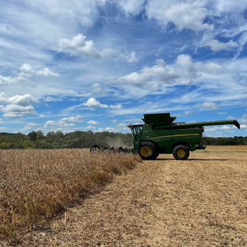 Agricultures de Carolina del Norte compiten contra el Huracán Ian, aumentando el ritmo de la cosecha