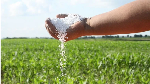 Cuarto proceso para adquirir 44 mil toneladas de urea culminaría en octubre, estima Midagri