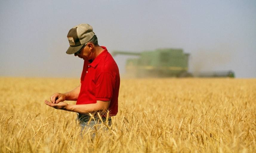 Los productores agropecuarios de EEUU recibieron préstamos del USDA