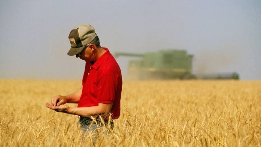 Los productores agropecuarios de EEUU recibieron préstamos del USDA