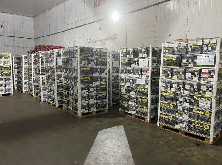 El NOA celebra la llegada de los primeros limones argentinos a Vietnam