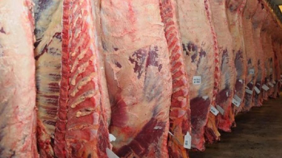 Exportadores de carne reclaman medidas para que suba el precio de la hacienda