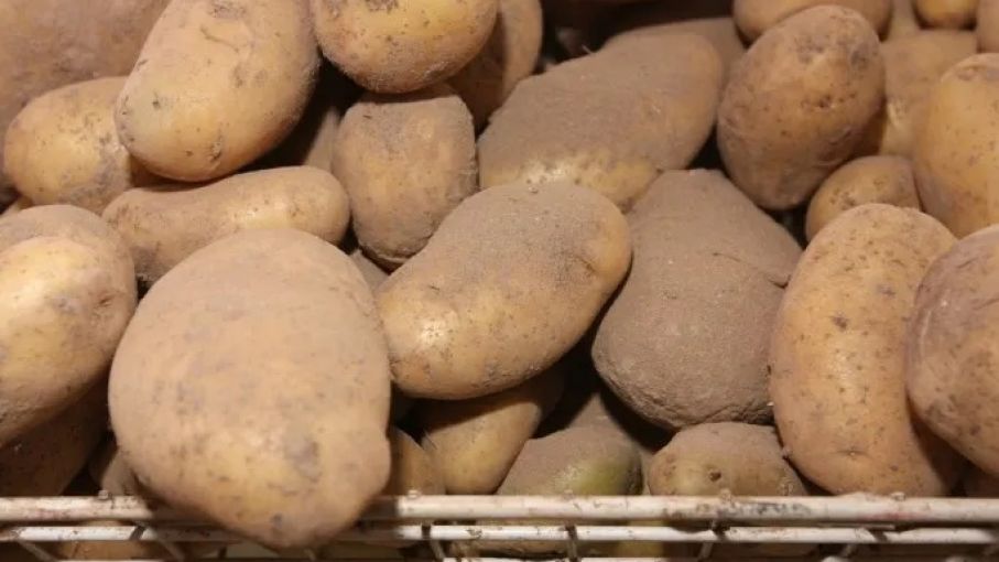 Advierten que hay "abusos" en los precios de la papa y la cebolla en supermercados