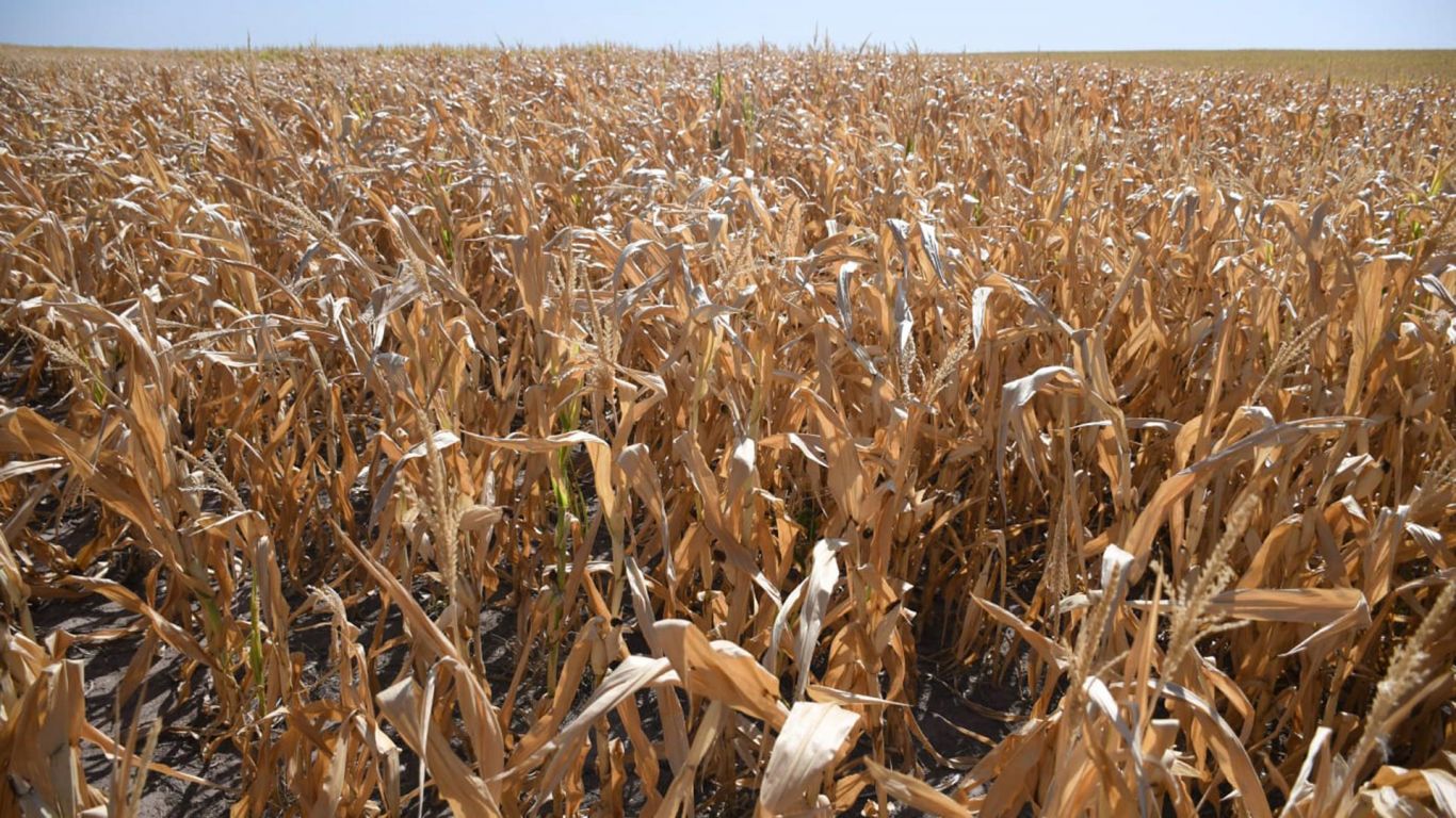Para la OCDE, la economía argentina caerá 1,6% en 2023 y la inflación cerrará en 105 por ciento
