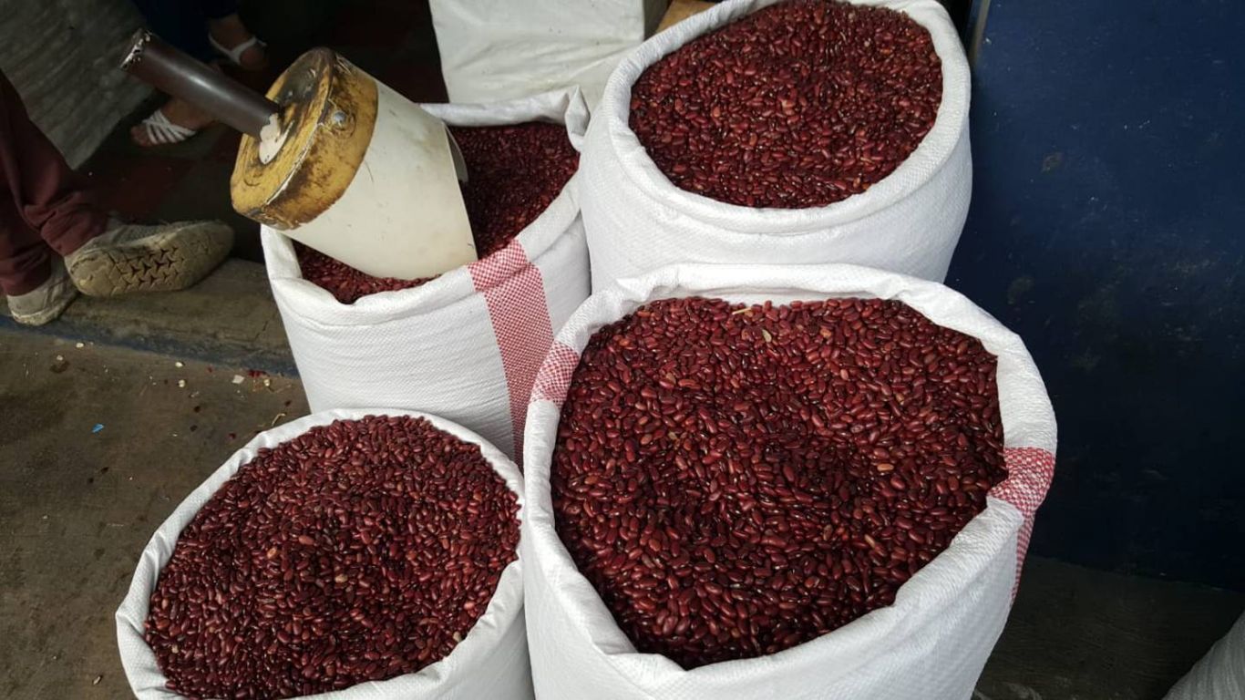 Honduras recurre alfrijol nicaragüense para hacerfrente a la especulación de precios
