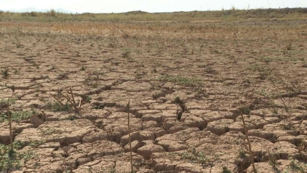 Alerta sequas: por qu los expertos afirman que es inevitable