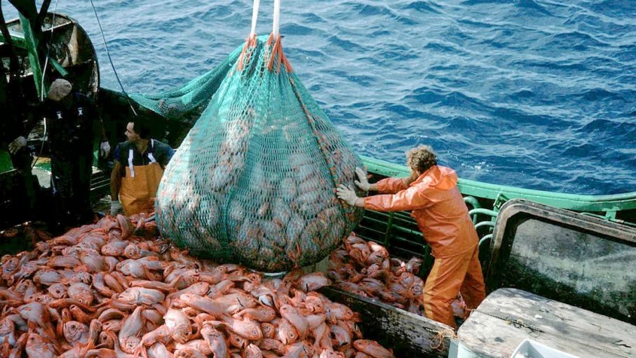 ¿Se viene el dólar langostino?: la curiosa propuesta del sector pesquero para Massa
