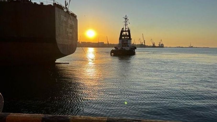 Los barcos de granos zarpan a pesar de la decisión de Rusia de suspender su participación en el acuerdo
