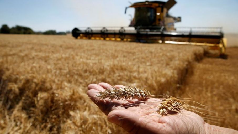 Según una encuesta, el 71% de los productores no harán nuevas inversiones por 5 años