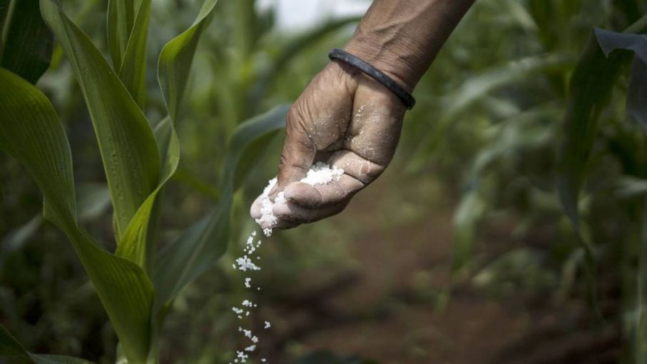 Compra de urea en Perú: Se retrasa firma del contrato para adquirir fertilizantes